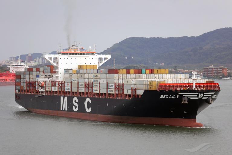 MSC Lily